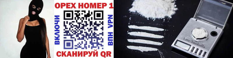 Купить закладки  Советская Гавань  Cocaine Fish Scale 