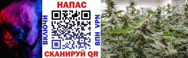 Канабис Ganja  Купить где  Советская Гавань 